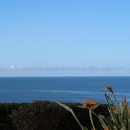 Agua A Vista - Apto Com 2 Quartos E Piscina Ericeira Ngoại thất bức ảnh